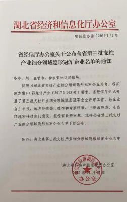 隱形冠軍小巨人批文